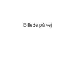 Et billede, der indeholder r�d, Karmin, flag

Automatisk genereret beskrivelse